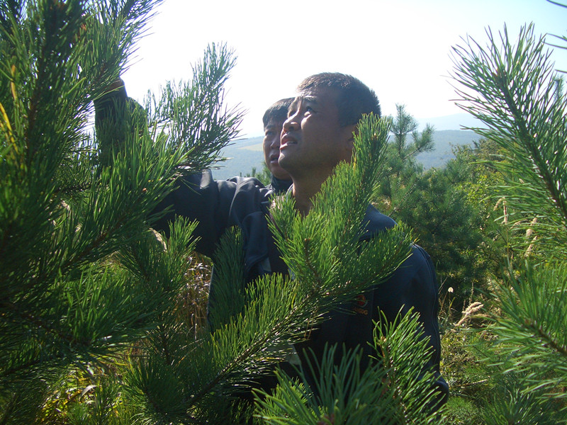 ���ɼ޽�ר�������ָ�����Ӻ��ֳ������ɼ޽Ӻ����ֳ�_����